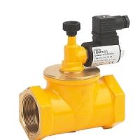 Pietro Fiorentini EV400 Valve